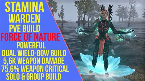 ESO Stamina Warden PVE Build Force Of Nature PVE Guide Markarth