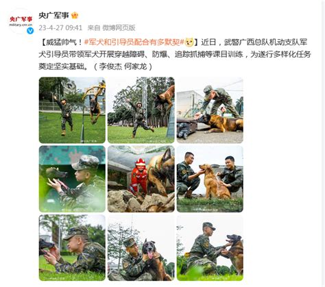 威猛帅气！军犬和引导员配合有多默契