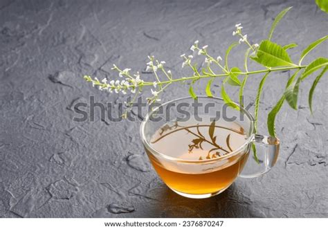 62 Aloysia Polystachya Images Stock Photos 3D Objects Vectors