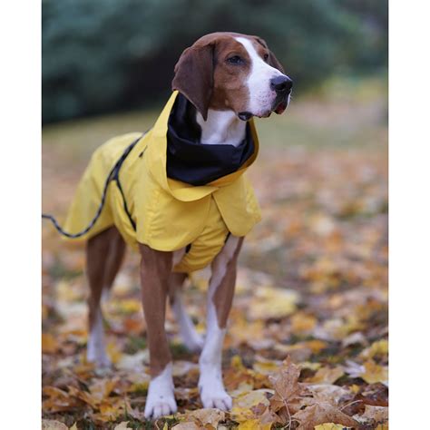 The Dog's Reflective Raincoat - Hammacher Schlemmer