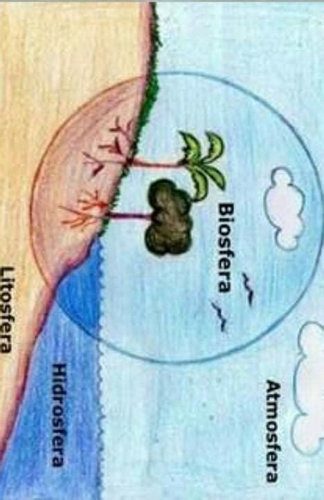 Realiza Un Dibujo En El Que Muestres Una Representacion De La Biosfera Brainlylat