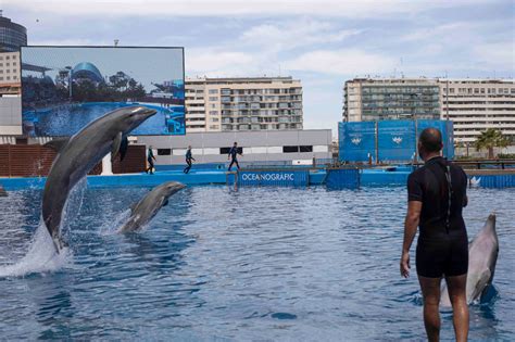 Convocan protesta a las puertas del Oceanogràfic de Valencia para