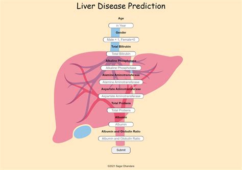 Github 19wh1a1295liverdiseaseprediction Liver Disease Prediction Using Ml