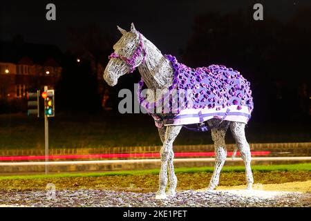 The Horse sculpture at Horsforth in Leeds has been given a new Purple ...