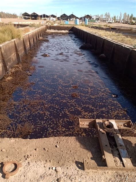 Jueces Del Fracking En Vaca Muerta Ponen La Lupa Sobre El Uso Del Agua