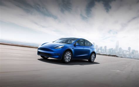 Visual Comparison Tesla Model Y Vs Tesla Model Gallery