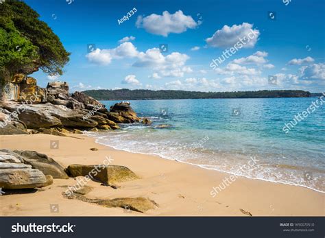 Lady Bay Nudist Beach Watsons Bay库存照片1650070510 Shutterstock