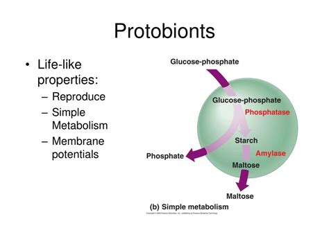 PPT - Origin of Life and Prokaryotes PowerPoint Presentation, free ...