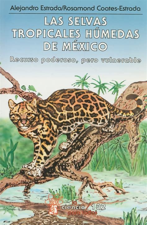 Las Selvas Tropicales Humedas De Mexico Recurso Poderoso Pero