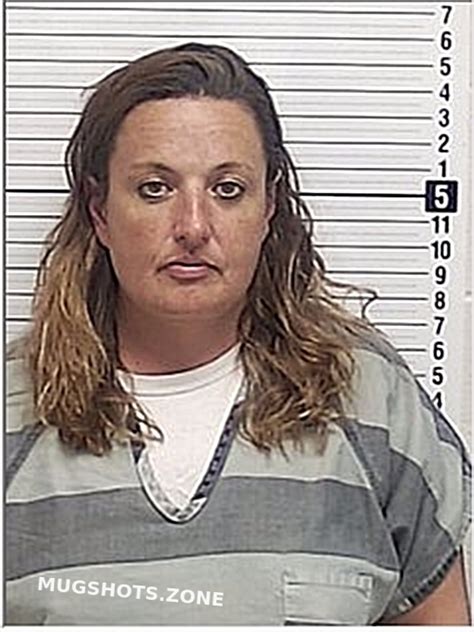 MOBBS STEPHANIE JEAN 01 31 2024 Bay County Mugshots Zone