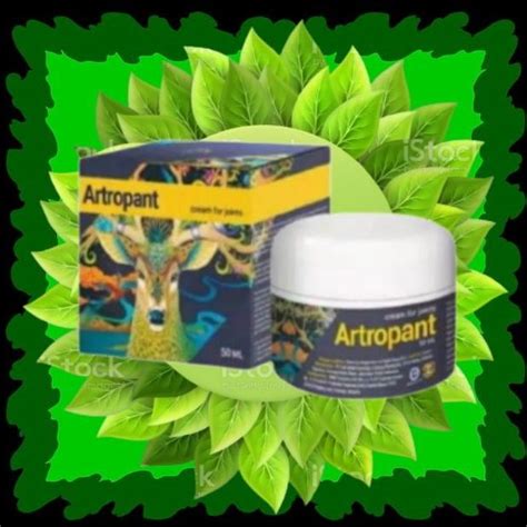 Jual Artropant Cream Original Asli Obat Tulang Sendi Otot Kaku Atropan