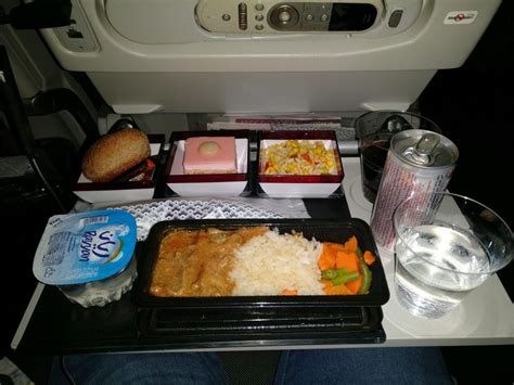 Review Qatar Airways Economy Class Langstrecke Unsere Erfahrungen