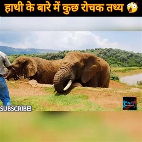 हाथी के बारे में कुछ रोचक तथ्य जो आप नहीं जानते Video Dailymotion