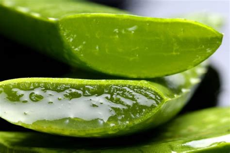 Remedio Casero Haz Tu Propio Aceite De Aloe Vera Para Eliminar Arrugas