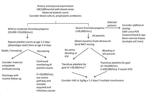 Neonatal Thrombocytopenia Etiology And Diagnosis