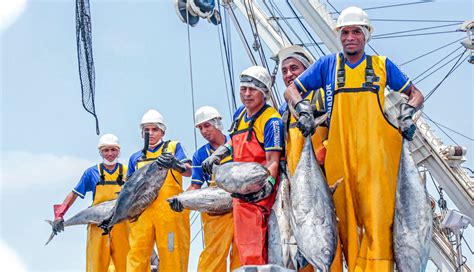 Conoce Las Cinco Medidas Para Reactivar El Sector Pesca En El Corto