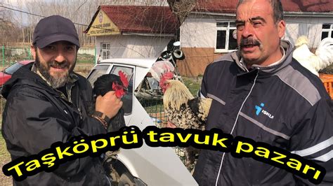 Taşköprü tavuk pazarında yok yok tavuklar hindiler ördekler kazlar