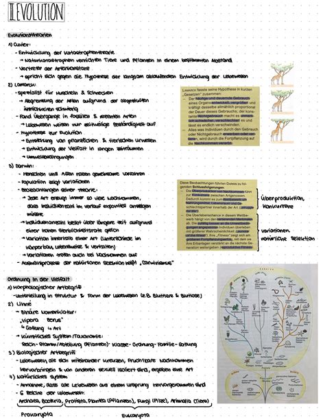 Lernzettel Biologie Evolution IEVOLUTION Evolutionstheorien 1