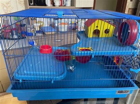 Gaiola Hamster Mansao Andares Animais Outubro Clasf