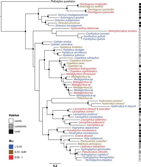 Phylogeny Based On Partitioned Bayesian Analysis Of COI 28S And 16S