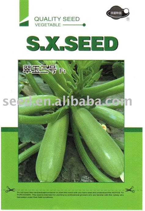 Wholesale Jade 3 Chinese Early Maturity Long Shape Squash Seeds