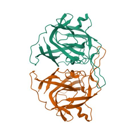 RCSB PDB 5W1N Crystal Structure Of The Human Astrovirus 2 Oxford