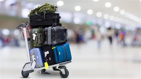 diverse luggage collection global images