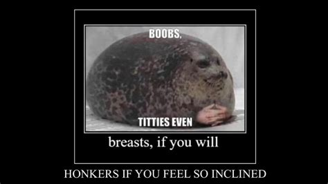 Boobs Titties Even Honkers If You Feel So Inclined Know Your Meme