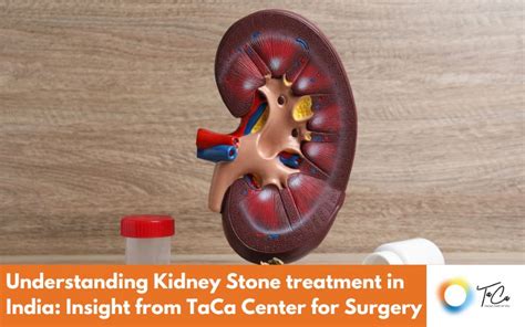 Kidney Stone Surgery - TaCa Healthcare Pvt. Ltd.