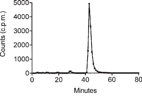 Hplc Analysis Of Radioiodine In The Rat Brain After Intravenous