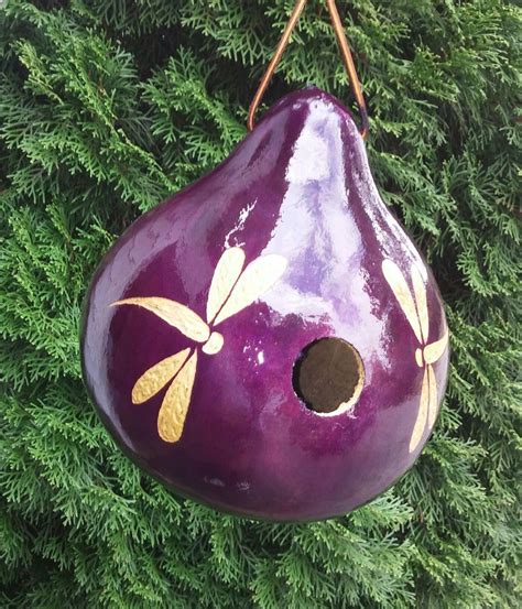 Purple Dragonfly Gourd Birdhouse Gourds Diy Gourds Crafts Clay Pot