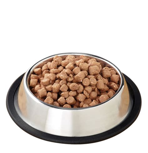 Dog Bowl Png