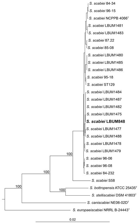 Genome Sequence Resource Of Streptomyces Scabiei Lbum848 A Model