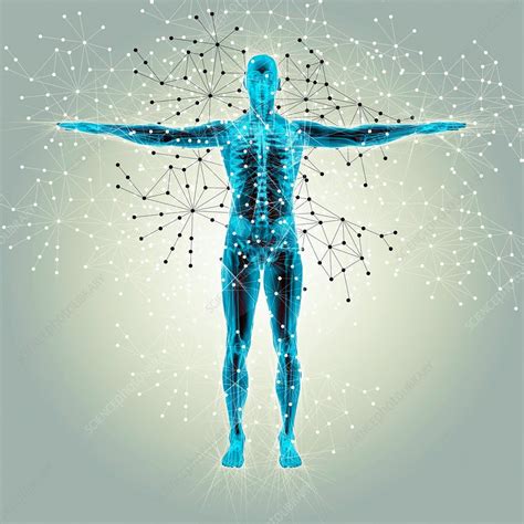 Atomic Structure Of The Body Illustration Stock Image F0196356