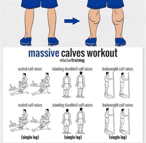 Exercise For Calves And Thighs At Home - Exercise Poster