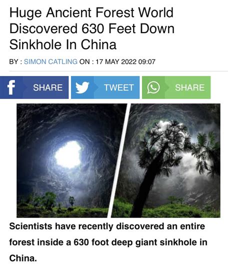 Dawn On Twitter Oh Good They Found Huge Ancient Forest World Https