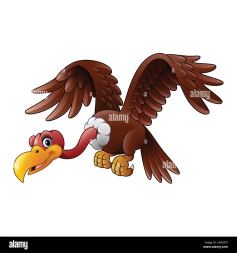 Vulture Hawk Stock Vector Images Alamy