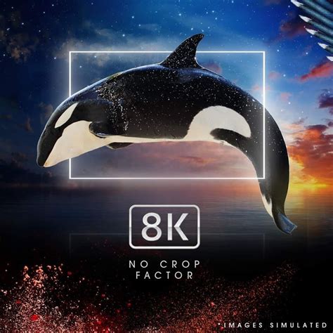 additional specifications   upcoming canon eos  full frame