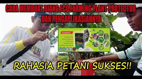 Cara Pembuatan Biang Eco Farming Plant Protector Dan Pengaplikasiannya