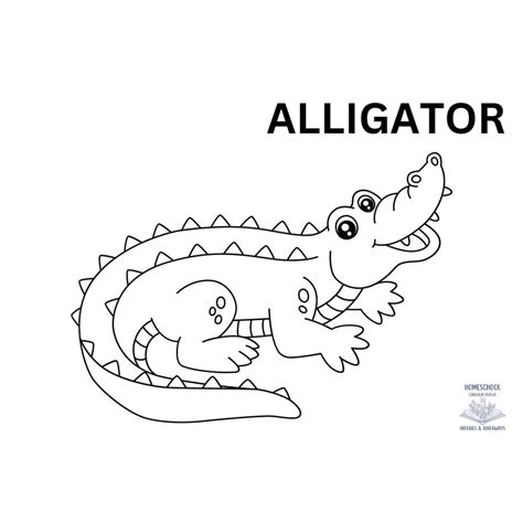 Alligator Coloring Page - Homeschool Freebies and Giveaways