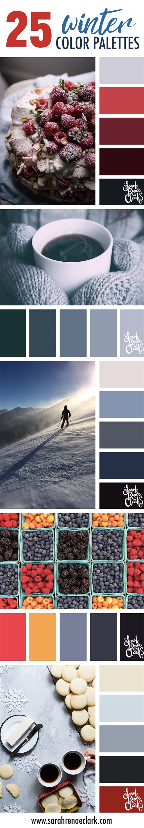 Winter Color Palettes Inspiring Color Schemes By Sarah Renae Clark