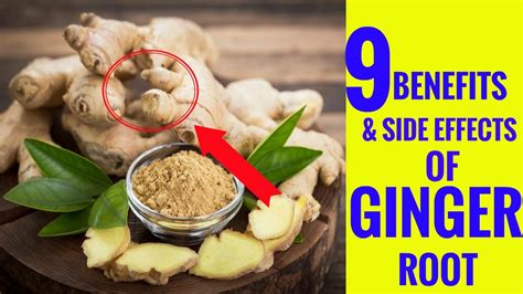 Black Ginger Side Effects : Side effects of ginger - HealthyLife ...