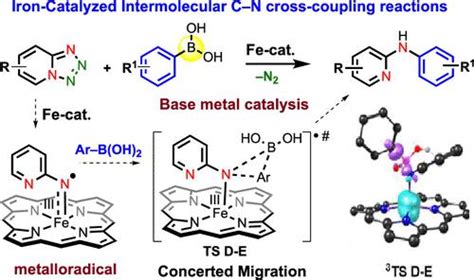 Iron Catalyzed Intermolecular C N Cross Coupling Reactions Via Radical