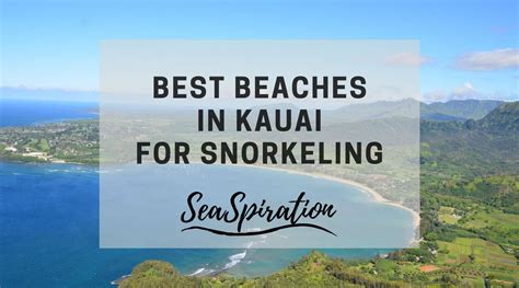 Best Beaches In Kauai For Snorkeling