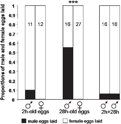 Adjustment Of The Females Offspring Sex Ratio According To Both Sex Download Scientific