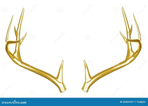 Golden Deer Antlers Stock Photo Image 43422107