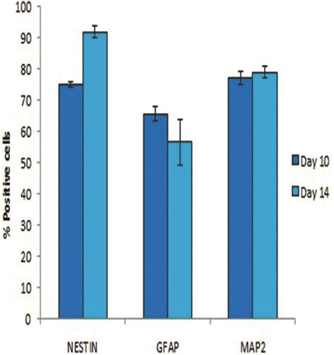 Comparison Of Mean Positive Cells For NESTIN Glial Fibrillary Acidic