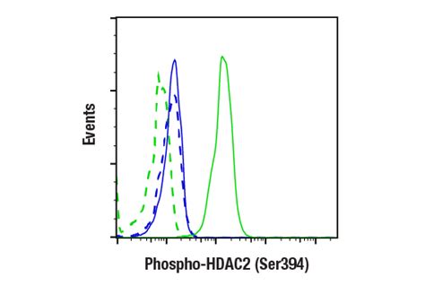 Phospho HDAC2 Ser394 E8O2Z Rabbit MAb Cell Signaling Technology