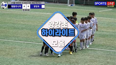 ️양강초 ⚽하이라이트 모음⚽ 서울 Haechi 1 2023 전국 초등 축구리그ㅣ대동주니어fc Vs 양강초ㅣ대동초운동장