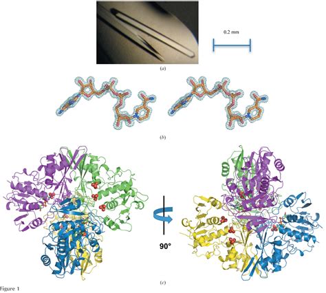 Table From High Resolution Crystal Structure Of Streptococcus